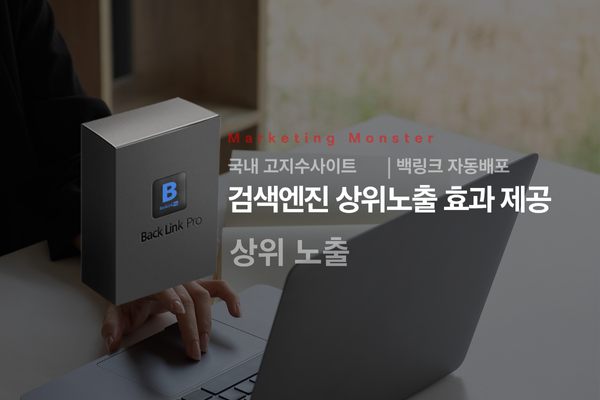 백링크 프로로 SEO 마케팅 성공한 모습
