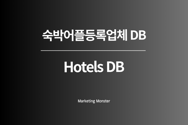 Hotels DB를 활용한 효율적인 비즈니스 전략 수립