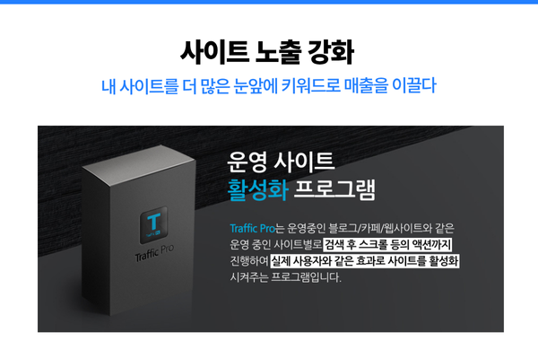 TrafficPro 2