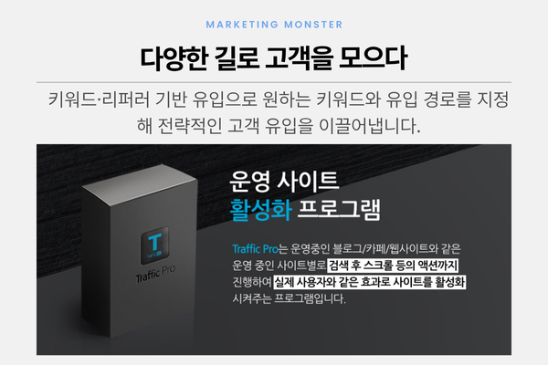 트래픽프로 효과