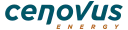 CVE